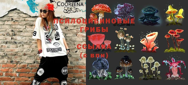 тгк Абинск