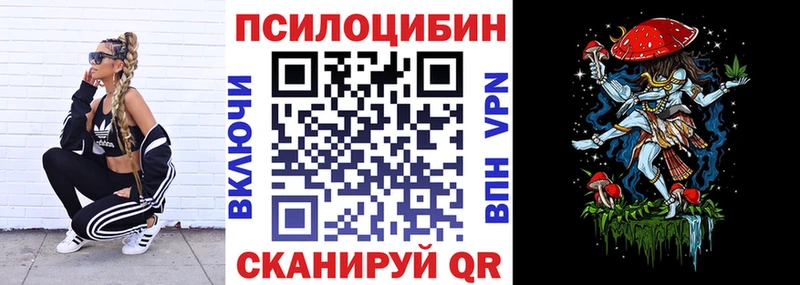 Галлюциногенные грибы Psilocybine cubensis Урень