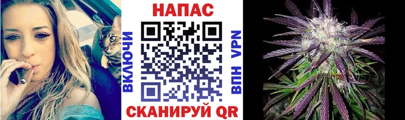 omg рабочий сайт  где найти наркотики  Урень  Бошки марихуана марихуана 